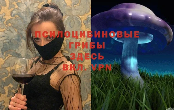 дживик Аркадак