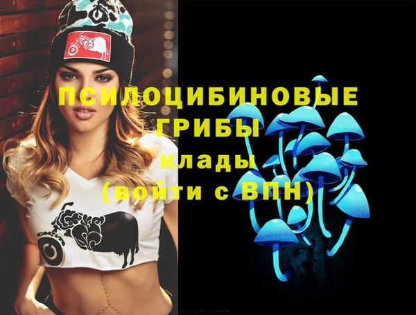 дживик Аркадак