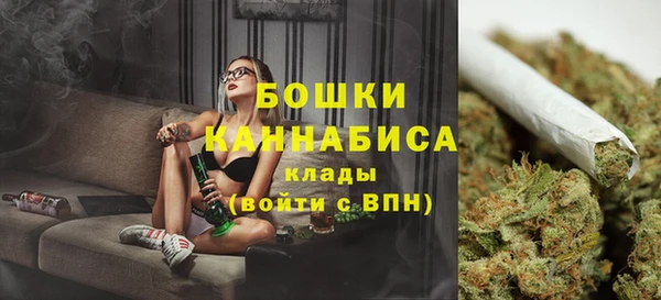 дживик Аркадак