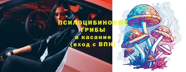 дживик Аркадак