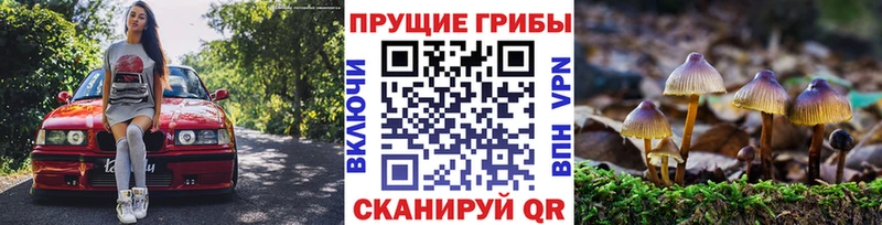 блэк спрут ONION  дарнет шоп  Лесосибирск  Псилоцибиновые грибы мицелий 